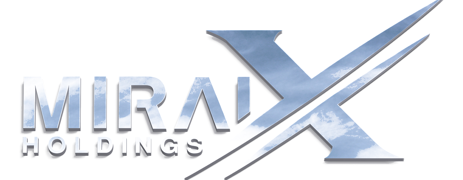 MIRAI X HOLDINGS